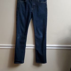 AMERICAN EAGLE OUTFITTERS  size waist 29 length 32